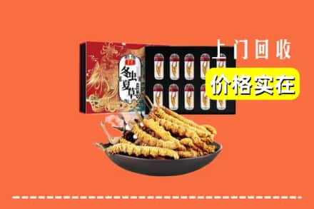 白银景泰县回收冬虫夏草